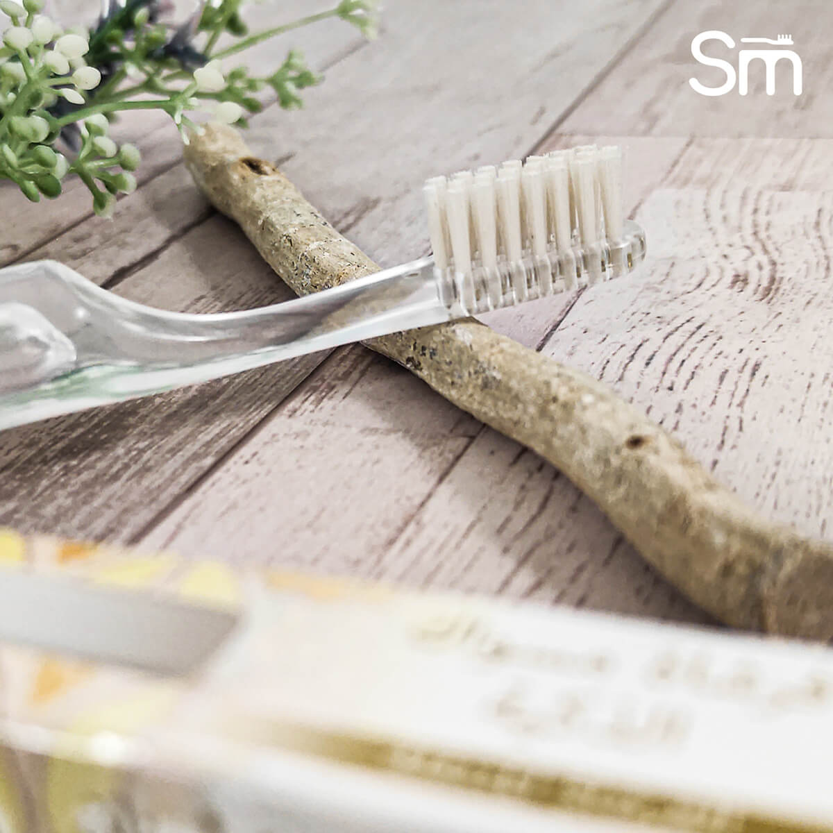 Smart portable miswak brush